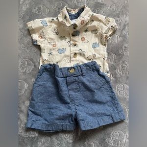 Safari set